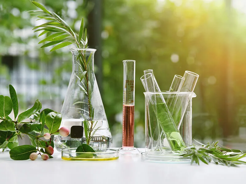 The Role of Naturopathy in Addressing Illness